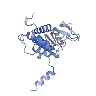 4328_6fyy_A_v1-3
Structure of a partial yeast 48S preinitiation complex with eIF5 N-terminal domain (model C2)
