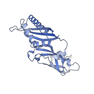 4328_6fyy_B_v1-3
Structure of a partial yeast 48S preinitiation complex with eIF5 N-terminal domain (model C2)