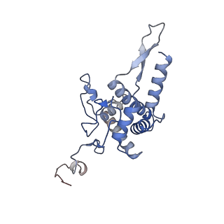 4328_6fyy_F_v1-3
Structure of a partial yeast 48S preinitiation complex with eIF5 N-terminal domain (model C2)