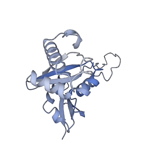 4328_6fyy_H_v1-3
Structure of a partial yeast 48S preinitiation complex with eIF5 N-terminal domain (model C2)