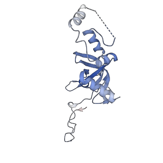 4328_6fyy_I_v1-3
Structure of a partial yeast 48S preinitiation complex with eIF5 N-terminal domain (model C2)