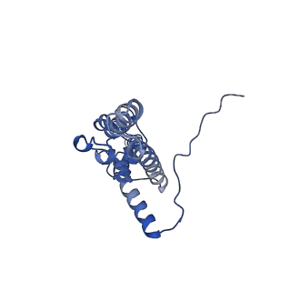 4328_6fyy_J_v1-3
Structure of a partial yeast 48S preinitiation complex with eIF5 N-terminal domain (model C2)