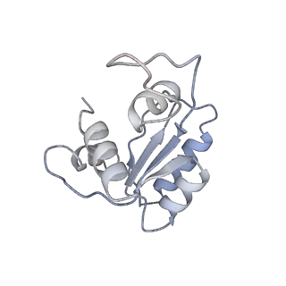 4328_6fyy_M_v1-3
Structure of a partial yeast 48S preinitiation complex with eIF5 N-terminal domain (model C2)