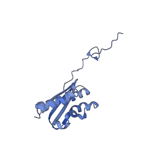 4328_6fyy_Q_v1-3
Structure of a partial yeast 48S preinitiation complex with eIF5 N-terminal domain (model C2)