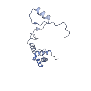 4328_6fyy_R_v1-3
Structure of a partial yeast 48S preinitiation complex with eIF5 N-terminal domain (model C2)