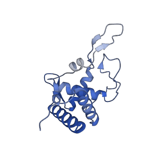 4328_6fyy_T_v1-3
Structure of a partial yeast 48S preinitiation complex with eIF5 N-terminal domain (model C2)