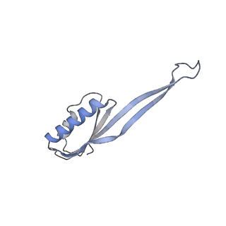 4328_6fyy_U_v1-3
Structure of a partial yeast 48S preinitiation complex with eIF5 N-terminal domain (model C2)