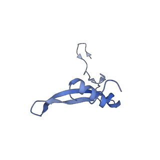 4328_6fyy_V_v1-3
Structure of a partial yeast 48S preinitiation complex with eIF5 N-terminal domain (model C2)