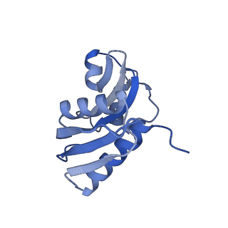 4328_6fyy_W_v1-3
Structure of a partial yeast 48S preinitiation complex with eIF5 N-terminal domain (model C2)
