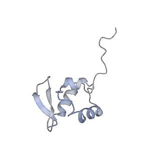4328_6fyy_Z_v1-3
Structure of a partial yeast 48S preinitiation complex with eIF5 N-terminal domain (model C2)