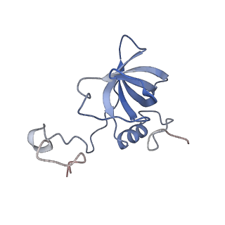 4328_6fyy_i_v1-3
Structure of a partial yeast 48S preinitiation complex with eIF5 N-terminal domain (model C2)