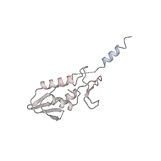 4328_6fyy_l_v1-3
Structure of a partial yeast 48S preinitiation complex with eIF5 N-terminal domain (model C2)