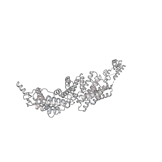 4328_6fyy_q_v1-3
Structure of a partial yeast 48S preinitiation complex with eIF5 N-terminal domain (model C2)