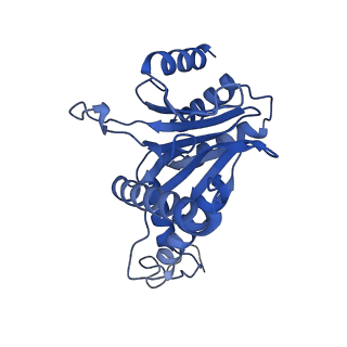 29604_8fz6_A_v1-0
The human PI31 complexed with bovine 20S proteasome