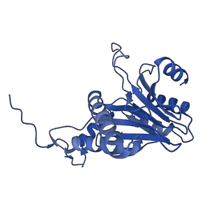 29604_8fz6_B_v1-0
The human PI31 complexed with bovine 20S proteasome