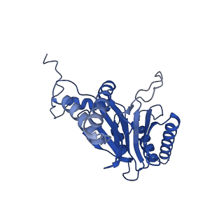 29604_8fz6_C_v1-0
The human PI31 complexed with bovine 20S proteasome