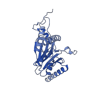 29604_8fz6_D_v1-0
The human PI31 complexed with bovine 20S proteasome