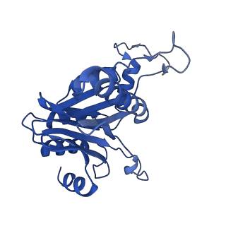 29604_8fz6_E_v1-0
The human PI31 complexed with bovine 20S proteasome