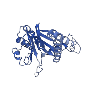 29604_8fz6_F_v1-0
The human PI31 complexed with bovine 20S proteasome