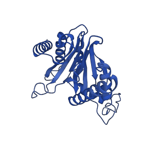 29604_8fz6_G_v1-0
The human PI31 complexed with bovine 20S proteasome