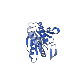 29604_8fz6_H_v1-0
The human PI31 complexed with bovine 20S proteasome