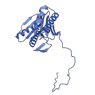 29604_8fz6_I_v1-0
The human PI31 complexed with bovine 20S proteasome