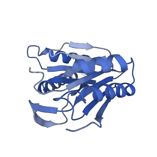 29604_8fz6_J_v1-0
The human PI31 complexed with bovine 20S proteasome