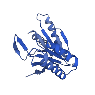 29604_8fz6_K_v1-0
The human PI31 complexed with bovine 20S proteasome