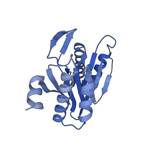 29604_8fz6_L_v1-0
The human PI31 complexed with bovine 20S proteasome