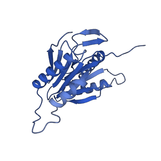 29604_8fz6_M_v1-0
The human PI31 complexed with bovine 20S proteasome