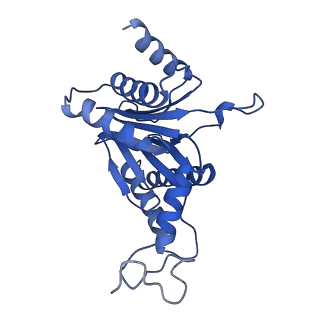 29604_8fz6_O_v1-0
The human PI31 complexed with bovine 20S proteasome