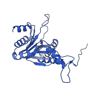 29604_8fz6_P_v1-0
The human PI31 complexed with bovine 20S proteasome
