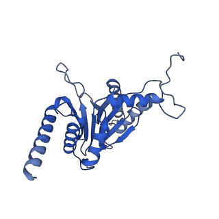 29604_8fz6_Q_v1-0
The human PI31 complexed with bovine 20S proteasome