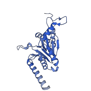 29604_8fz6_R_v1-0
The human PI31 complexed with bovine 20S proteasome