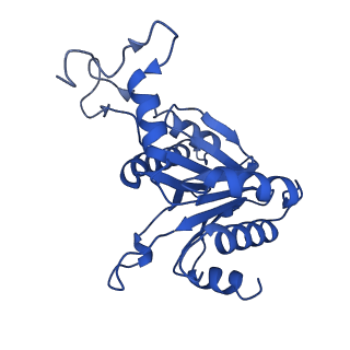 29604_8fz6_S_v1-0
The human PI31 complexed with bovine 20S proteasome