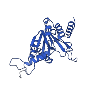29604_8fz6_U_v1-0
The human PI31 complexed with bovine 20S proteasome