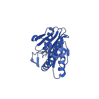 29604_8fz6_V_v1-0
The human PI31 complexed with bovine 20S proteasome