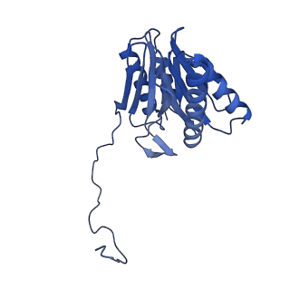 29604_8fz6_W_v1-0
The human PI31 complexed with bovine 20S proteasome
