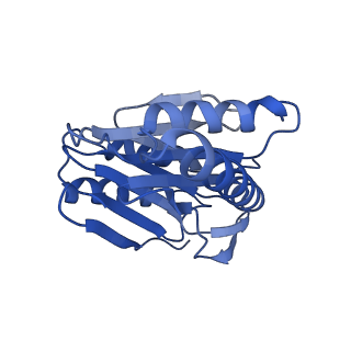 29604_8fz6_X_v1-0
The human PI31 complexed with bovine 20S proteasome