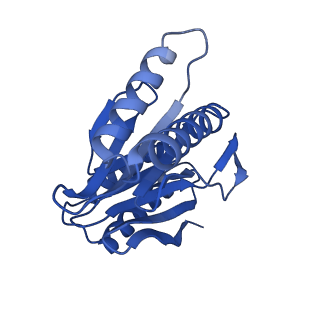 29604_8fz6_Y_v1-0
The human PI31 complexed with bovine 20S proteasome