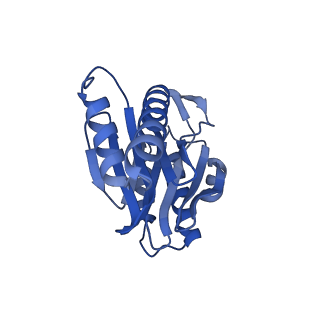 29604_8fz6_Z_v1-0
The human PI31 complexed with bovine 20S proteasome