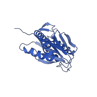 29604_8fz6_a_v1-0
The human PI31 complexed with bovine 20S proteasome
