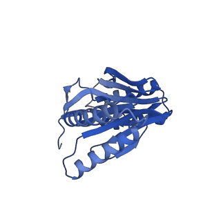 29604_8fz6_b_v1-0
The human PI31 complexed with bovine 20S proteasome