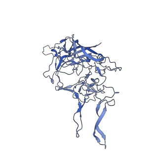 29636_8fzn_2_v1-0
Cryo-EM Structure of AAV2-R404A Variant
