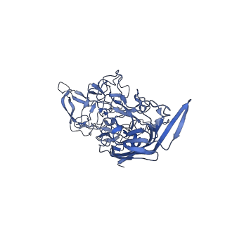 29636_8fzn_5_v1-0
Cryo-EM Structure of AAV2-R404A Variant