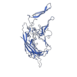 29636_8fzn_6_v1-0
Cryo-EM Structure of AAV2-R404A Variant