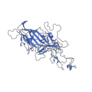 29636_8fzn_7_v1-0
Cryo-EM Structure of AAV2-R404A Variant