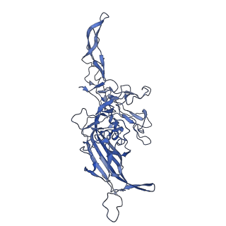 29636_8fzn_8_v1-0
Cryo-EM Structure of AAV2-R404A Variant