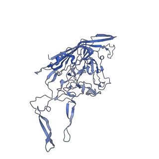 29636_8fzn_A_v1-0
Cryo-EM Structure of AAV2-R404A Variant