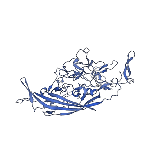 29636_8fzn_C_v1-0
Cryo-EM Structure of AAV2-R404A Variant